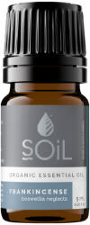 SOiL Ulei Esential tamaie pur 100% Organic ECOCERT, 5ml, Soil