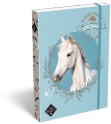 LIZZY Jegyzetfüzettartó doboz, A4, LIZZYSULI, "Vad szépség, Sportklub