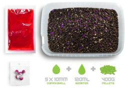 DELPHIN Reaxe READY& GO Pellet box + Booster + Wafters Plum-Mulberry