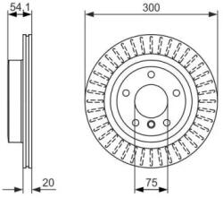 Bosch szellőző féktárcsa Ø300mm 0 986 479 775
