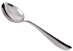 Salvinelli Lingura Inox Desert si Gustare 17.5 cm Twist Salvinelli (CFTW) Tacam
