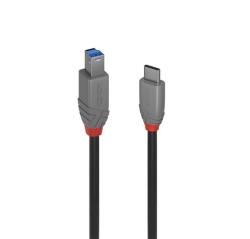 Lindy Cablu USB 3.2 Type C la USB-B Anthra Line 2m, Lindy L36667 (L36667)