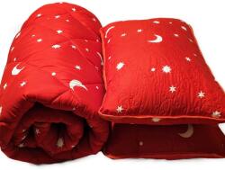 CONELTEX Oferta speciala- set 2 perne 50x70+ 1 pilota 200x210 ROSIE