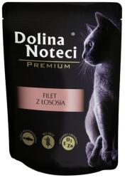 Dolina Noteci Premium Cat Fillet from Salmon 10 x 85 g