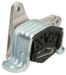 REINHOCH Suport, transmisie automata REINHOCH RH11-0165 (RH11-0165)