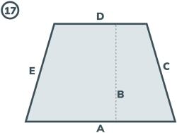 MCE system Atipikus FIX szúnyogháló ABLAKRA - forma 17 (Atipikus FIX szúnyogháló ABLAKRA - forma 17) - fornest