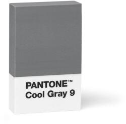 Pantone Lubrifiant PANTONE - Cool Grey 9 (101480009)