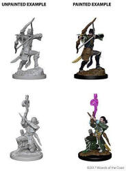 Wizards of the coast Dungeons and Dragons Nolzurs Marvelous Miniatures - Elf Druid (634482726334) Figurina