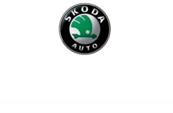 AutoHelix MSA Emblema Cheie Skoda 12mm (C143-9865)