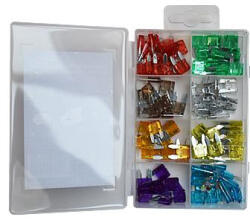 AutoHelix MSA Set Sigurante Fuzibile Mini Set 100 Buc (cx_02109)