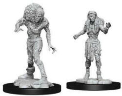 WizKids Dungeons & Dragons - Nolzurs Marvelous Miniatures - Drowned Assassin & Drowned Asetic (634482902424) Figurina