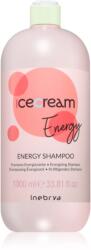 Inebrya Ice Cream Energy Shampoo șampon impotriva caderii parului 1000 ml
