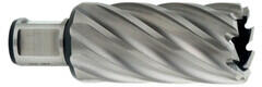 Metabo 17 x 90 mm carota cu prindere weldon (626526000)