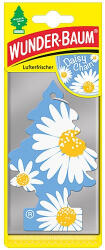 Wunder-Baum , Trees, Daisy (30208722)
