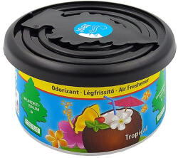 Wunder-Baum , Fiber Can, Tropical (30881055)