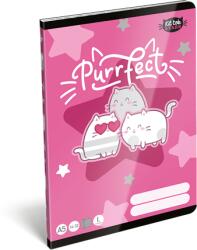 Lizzy Card Füzet A/5 1. osztályos vonalas LIZZYSULI 32lap Kittok Stars Purrfect