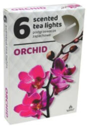 ADMIT Teamécses illatos A6 6db-os ORCHIDEA