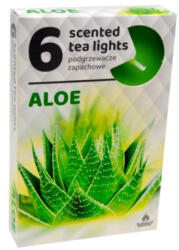 ADMIT Teamécses illatos A6 6db-os ALOE VERA