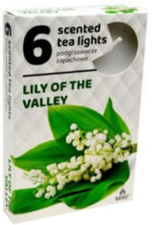 ADMIT Teamécses illatos A6 6db-os LILY OF THE VALLEY