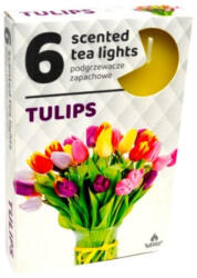 ADMIT Teamécses illatos A6 6db-os TULIPS