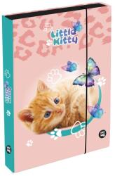 KARTON P+P Cutie pentru caiete A5 Jumbo Pisică (1-38026)