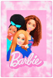 Mattel Barbie polár takaró, pléd 100x150 cm Nr6