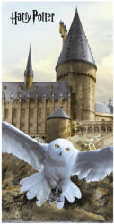 Warner Bros. Interactive Harry Potter fürdőlepedő, strandtörölköző 70x140 cm Nr 05