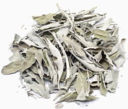  White Sage Fehér Zsálya Levél Füstölő (10-20% kedvezmény)
