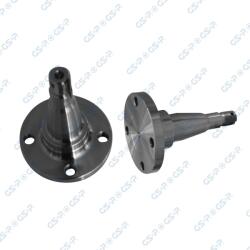 GSP Set rulment roata GSP 9499004 (9499004)