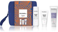 Goldwell Dualsenses Bond Pro Seturi pentru voiaj pentru parul deteriorat si fragil