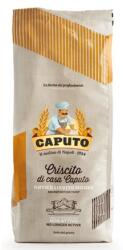  CAPUTO Criscito Madre faina 1 kg