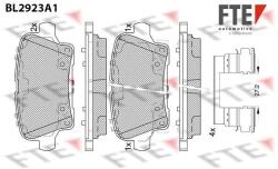 FTE set placute frana, frana disc FTE 9011166 (9011166)