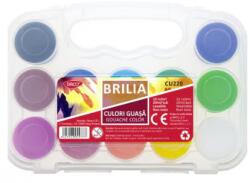Daco Culori guasa 12 culori 20 ml BRILIA DACO (6423533029777)