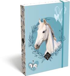 Lizzy Card Füzetbox A/5 LIZZYSULI Wild Beauty Sport Club