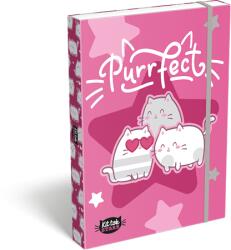 Lizzy Card Füzetbox A/4 LIZZYSULI KitTok Lollipop Purrfect