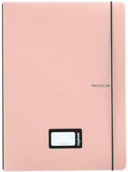 KARTON P+P Notebook PP Oxybook A4 40 lapos PASTELINI barackos (8-973)