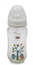 Cangaroo Biberon din sticlă cu gât larg 240 ml. B0468 103016