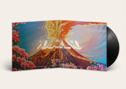 Caiola Records Volcano | Jungle