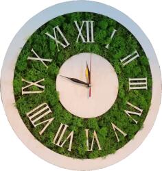 Amco Ceas de perete cu licheni naturali 40x40 (PM426)