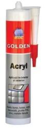 Interbrand Richtig Silicon Acrilic (24 Buc/bax) (110000089)