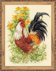 Riolis Kakas 1479, keresztszemes hímző szett 30x40 cm (RIO1479)