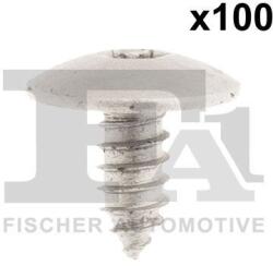 FA1 Surub FA1 10-70025.100 (10-70025.100)
