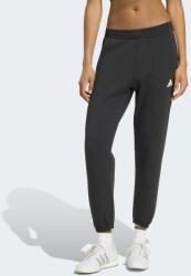 adidas Performance adidas W STADIUM SL PANT S | Femei | Pantaloni de trening | Negru | KY7024