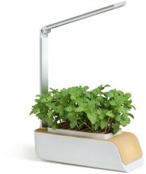 LedMeGrow Ghiveci inteligent - Kit Smart Garden