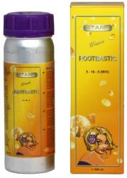 Atami ATA Rootbastic Volum: 500 ml