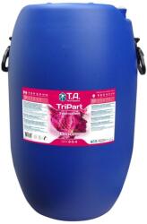 Terra Aquatica TriPart Bloom Volum: 60 l