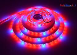 LEDMEGROW Bandă LED pentru cultivare R4: B1 12W/m
