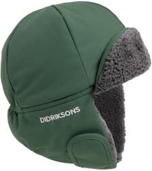 Didriksons Детска зимна шапка (beanie) Didriksons Kid's Biggles Cap Beanie - Dark Moss - размер 50 cm (904-6540-0411)
