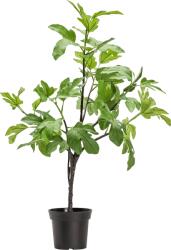 House Doctor Plantă artificială Fig 81 cm (900001068)