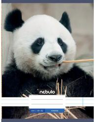 Nebulo Nebulo: Panda mintás vonalas füzet 81-32 A/4 (VO-AM-A4-12348022)